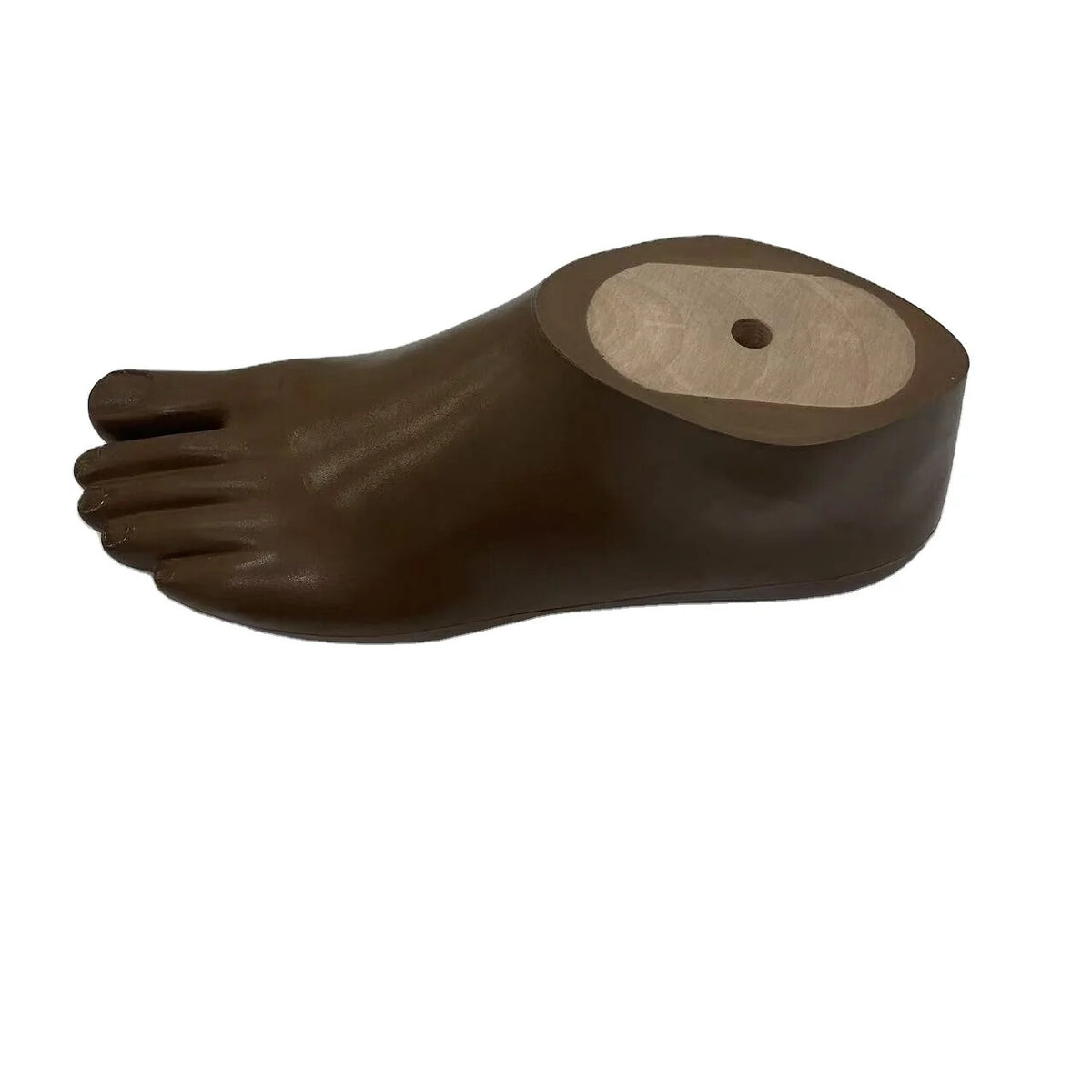 SACH Prosthetic Foot – Size 12-30 cm | Artificial Limb Replacement | Brown