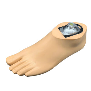 Dynamic Prosthetic Foot with Adapter
