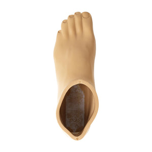 Top view of the prosthetic foot shell and foot opening