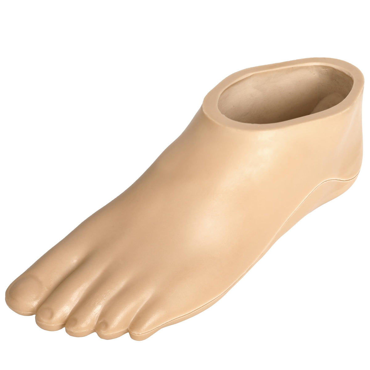 Prosthetic Foot Shell 22–29 cm | Multi-Brand Compatible Polyurethane Cover