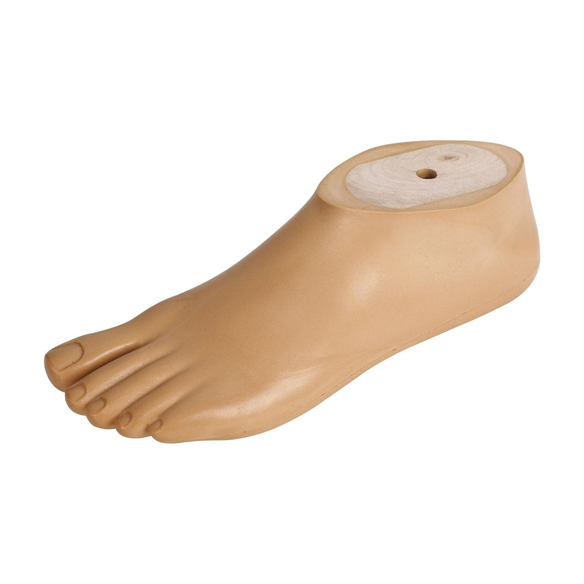 SACH Prosthetic Foot with Split Toe – Beige, Sizes 20–30 cm, M10 Thread