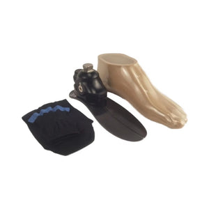 Multi-Axis Prosthetic Foot