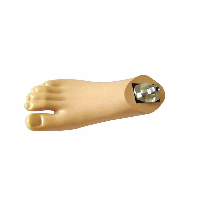 Prosthetic foot shown from above with connector opening
