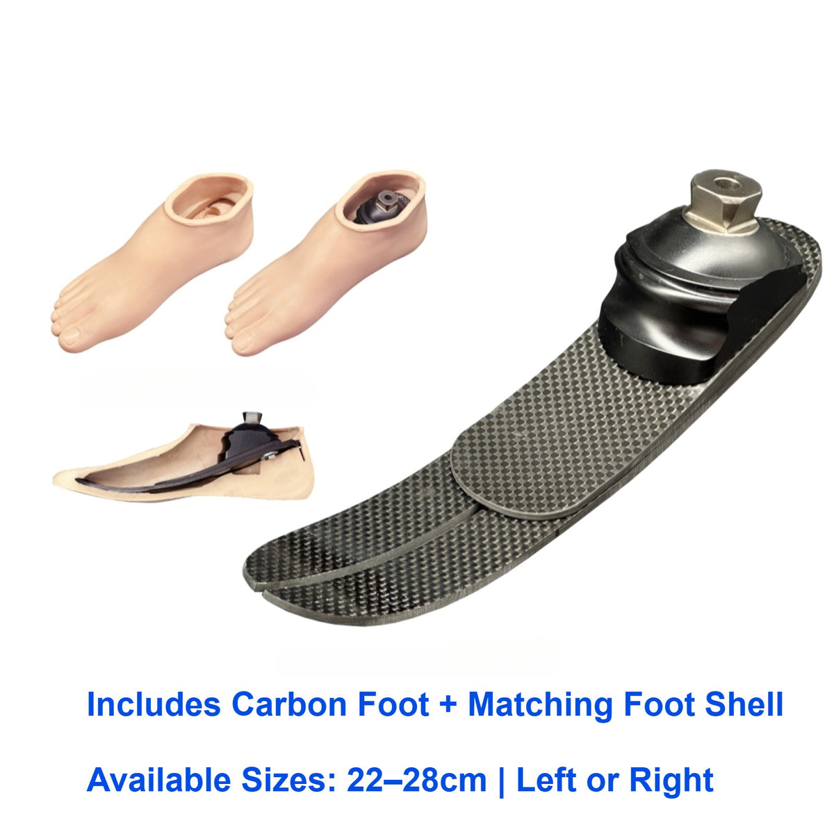 Carbon Fiber Prosthetic Foot with Foot Shell | 22–26 cm | Left/Right 70 kg Max