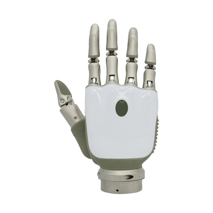 Upper Limb