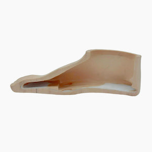 Cutaway side profile showing the interior of the prosthetic foot shell