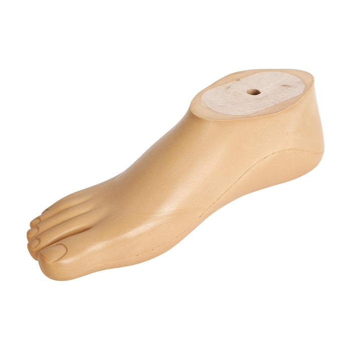SACH Prosthetic Foot with Split Toe and M10 Thread